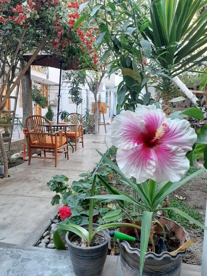 El Huerto Hostel Ica Kültér fotó