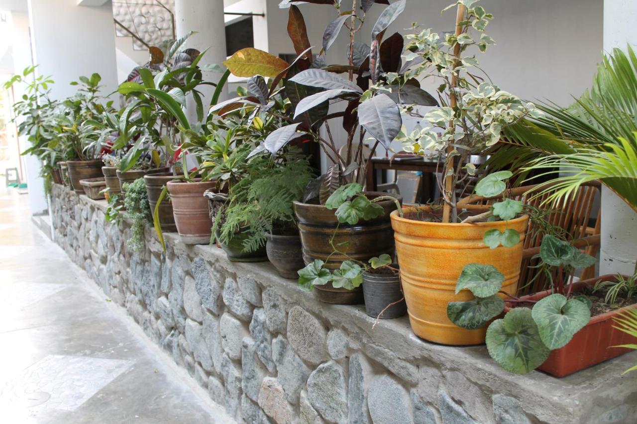 El Huerto Hostel Ica Kültér fotó